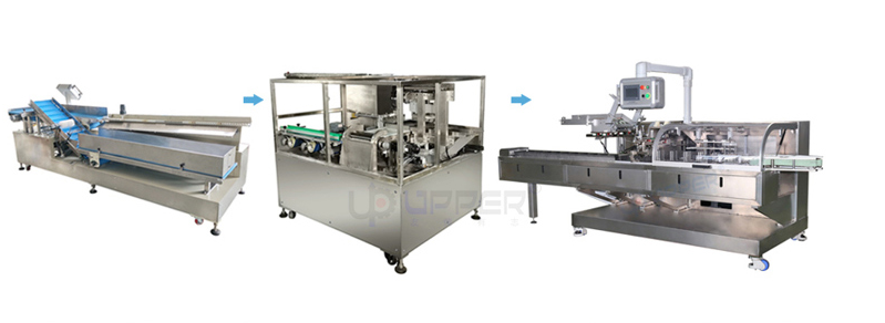 Vertical Filling and Carton Box Packing Machine